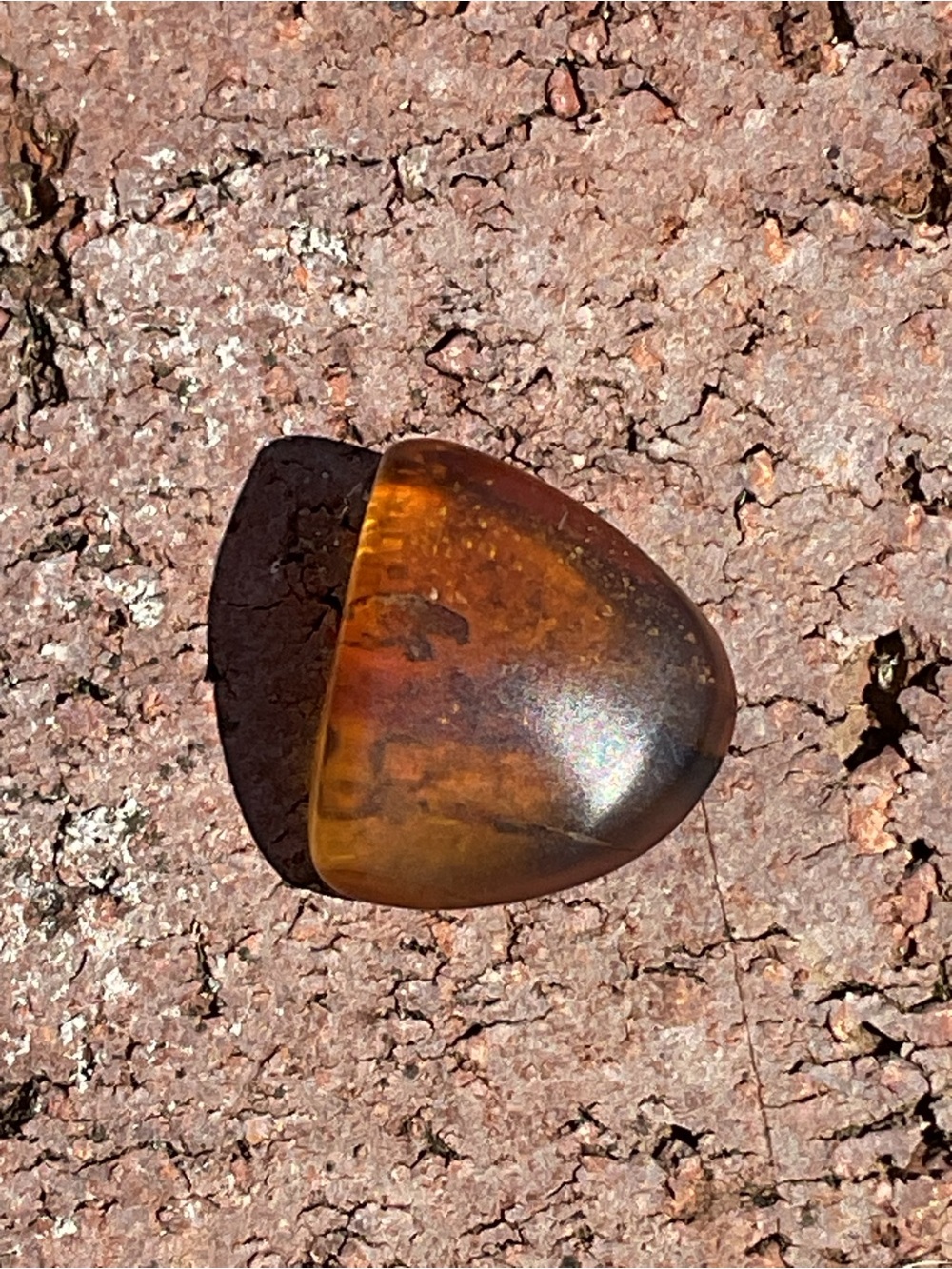 Amber Loose Gem